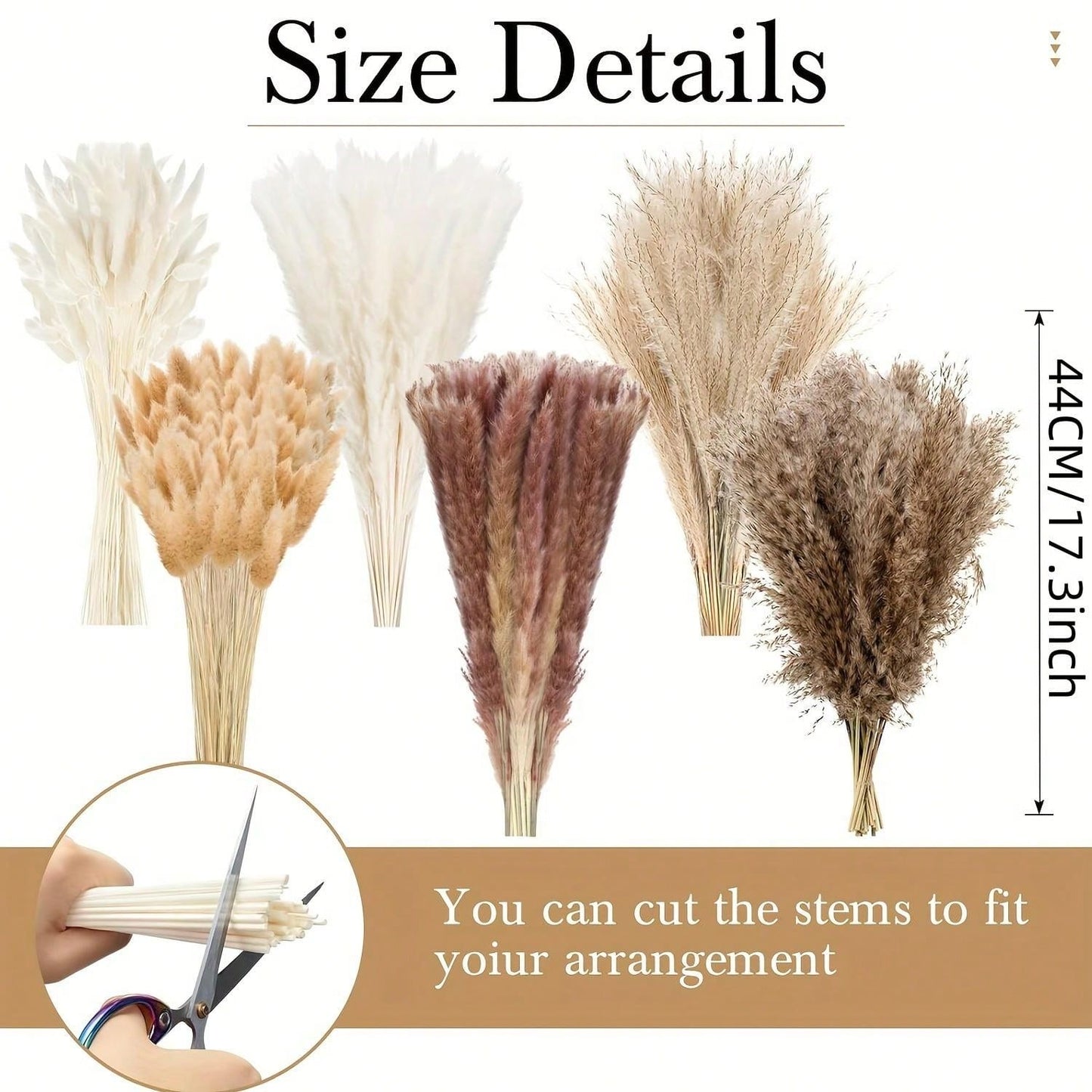 باقة من أوراق  المجففة 220 قطعة، 17.3 بوصة (حوالي 44 سم)، باقة ذيل الأرنب، نمط بوهيمي للديكور الزفاف والمنزل وطاولة العشاء والحفلات
