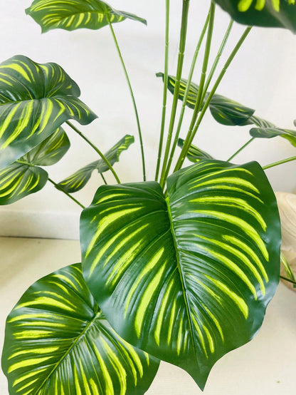 نبات صناعي كبير بحجم 35.48 بوصة ب-18 فرع تمثل أوراق كأنها ظهر السلحفاة وأوراق الأناناس الخضراء مزينة بأوراق كبيرة مخططة مصطنعة للتزيين يستخدم في المكاتب و غرف المعيشة و غرف النوم والمطابخ مصنوع من بلاستيك صناعي خضراء لا يأتي مع الأواني الزراعية