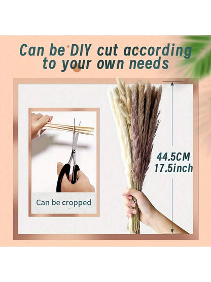 حزمة أعشاب بامباس العضوية الطبيعية المحفوظة 50 حبة - فن زهري لديكور المنزل البوهيمي والزفاف