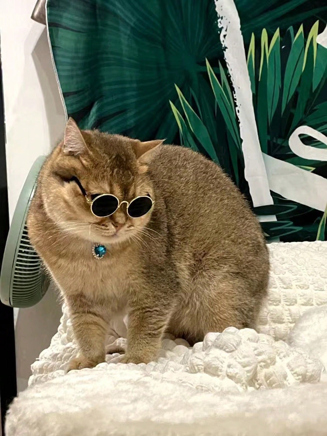 نظارات حيوانات الأليفة الملونة بالذهب والوردي والأخضر، إكسسوار الحيوانات الأليفة المضحكة بتصميم شخصية الدب للقطط والكلاب