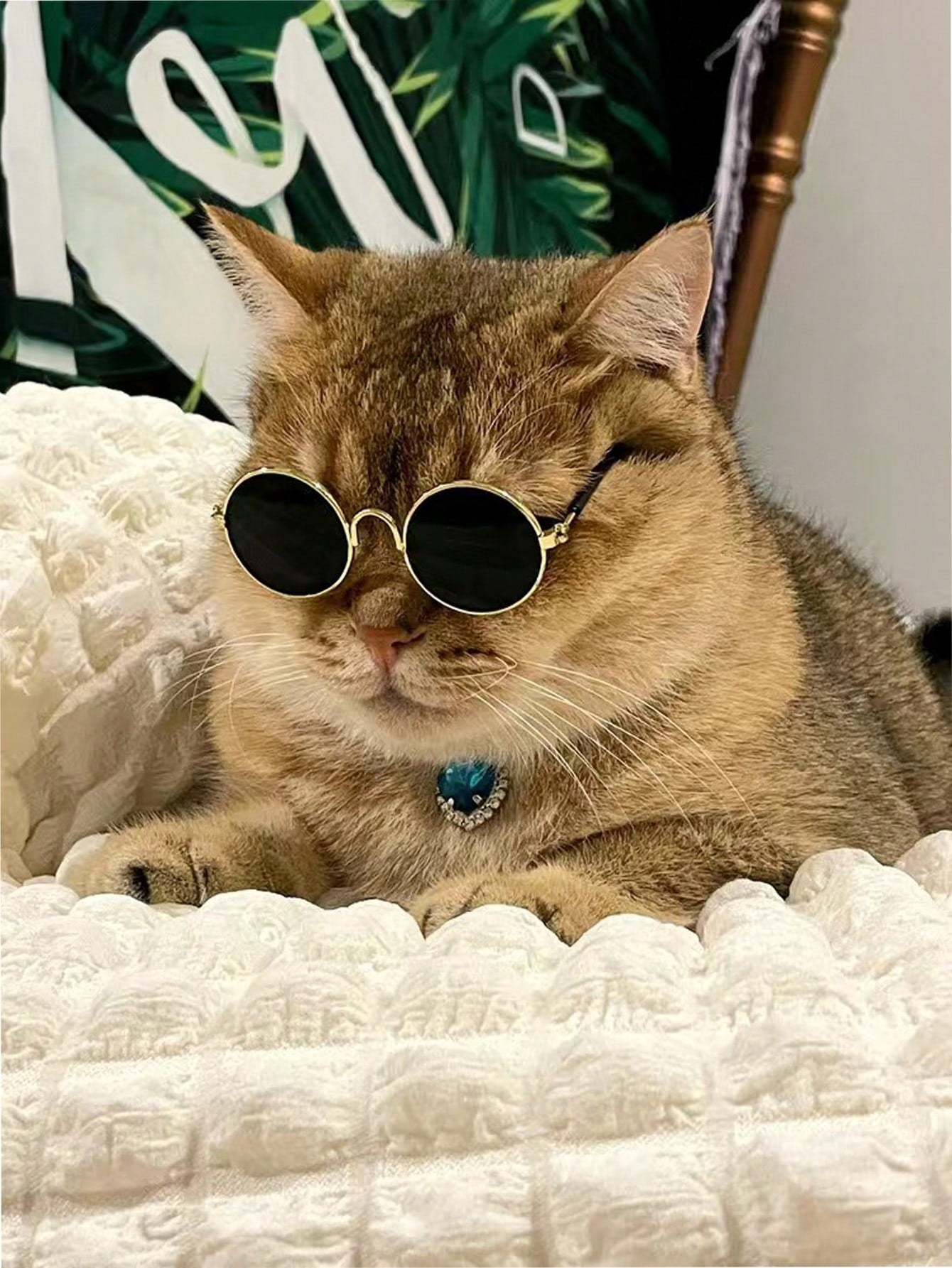 نظارات حيوانات الأليفة الملونة بالذهب والوردي والأخضر، إكسسوار الحيوانات الأليفة المضحكة بتصميم شخصية الدب للقطط والكلاب