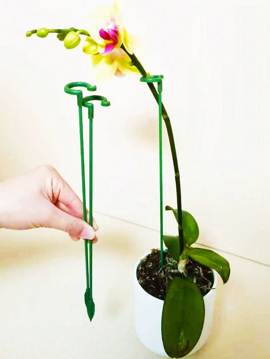 أعمدة دعم بلاستيكية بعددها 10 قطع لدعم وتسليق النباتات المزروعة مع خطافات لحامل الأوركيد الفيلينوبس