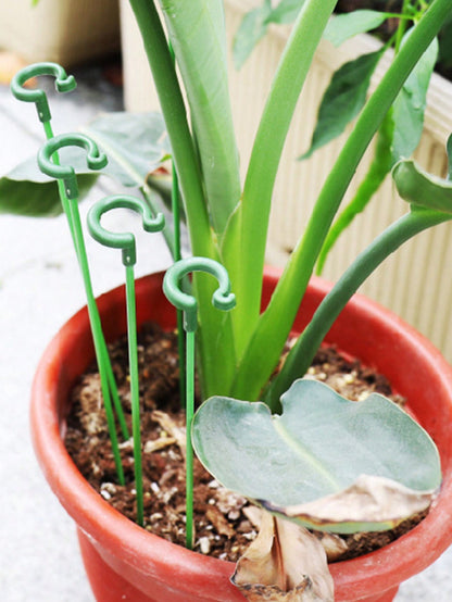 أعمدة دعم بلاستيكية بعددها 10 قطع لدعم وتسليق النباتات المزروعة مع خطافات لحامل الأوركيد الفيلينوبس