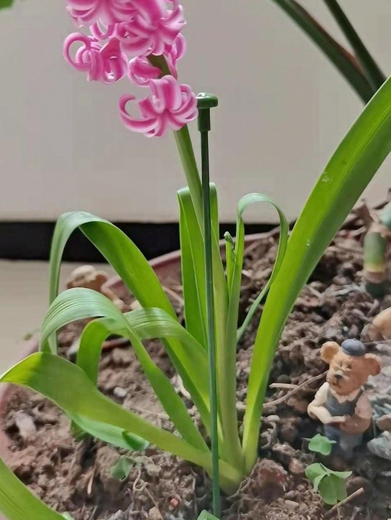 أعمدة دعم بلاستيكية بعددها 10 قطع لدعم وتسليق النباتات المزروعة مع خطافات لحامل الأوركيد الفيلينوبس