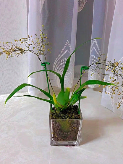 أعمدة دعم بلاستيكية بعددها 10 قطع لدعم وتسليق النباتات المزروعة مع خطافات لحامل الأوركيد الفيلينوبس