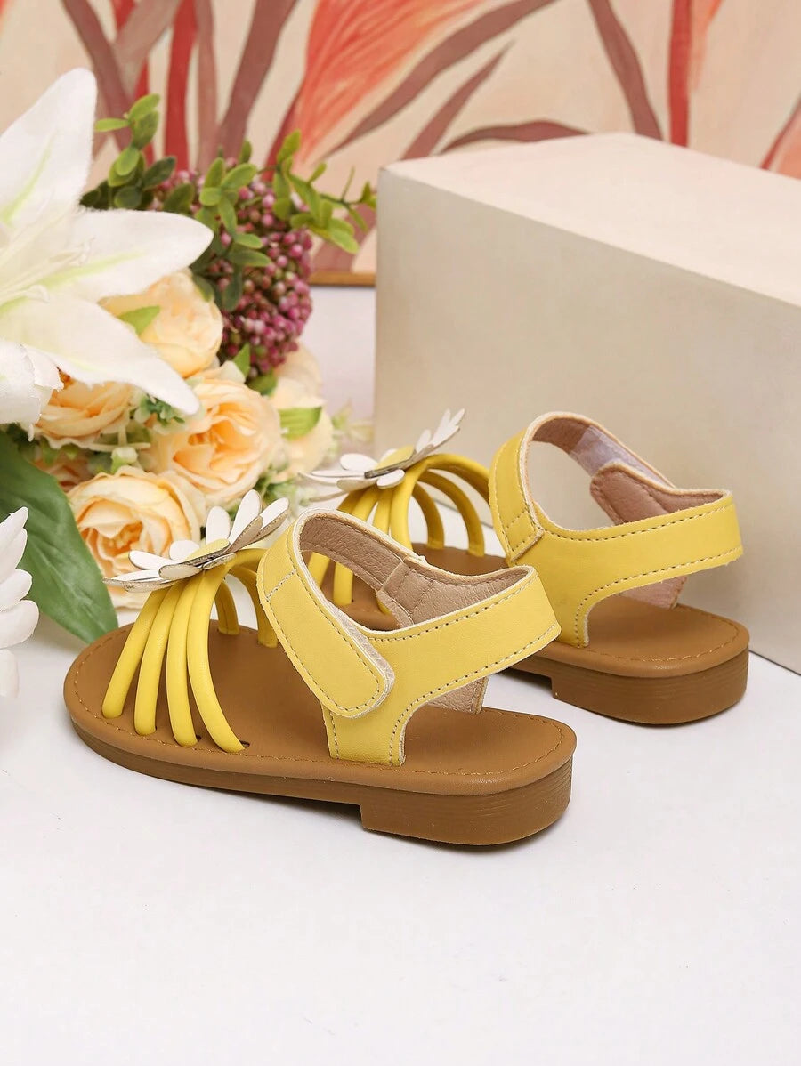 صنادل بناتي