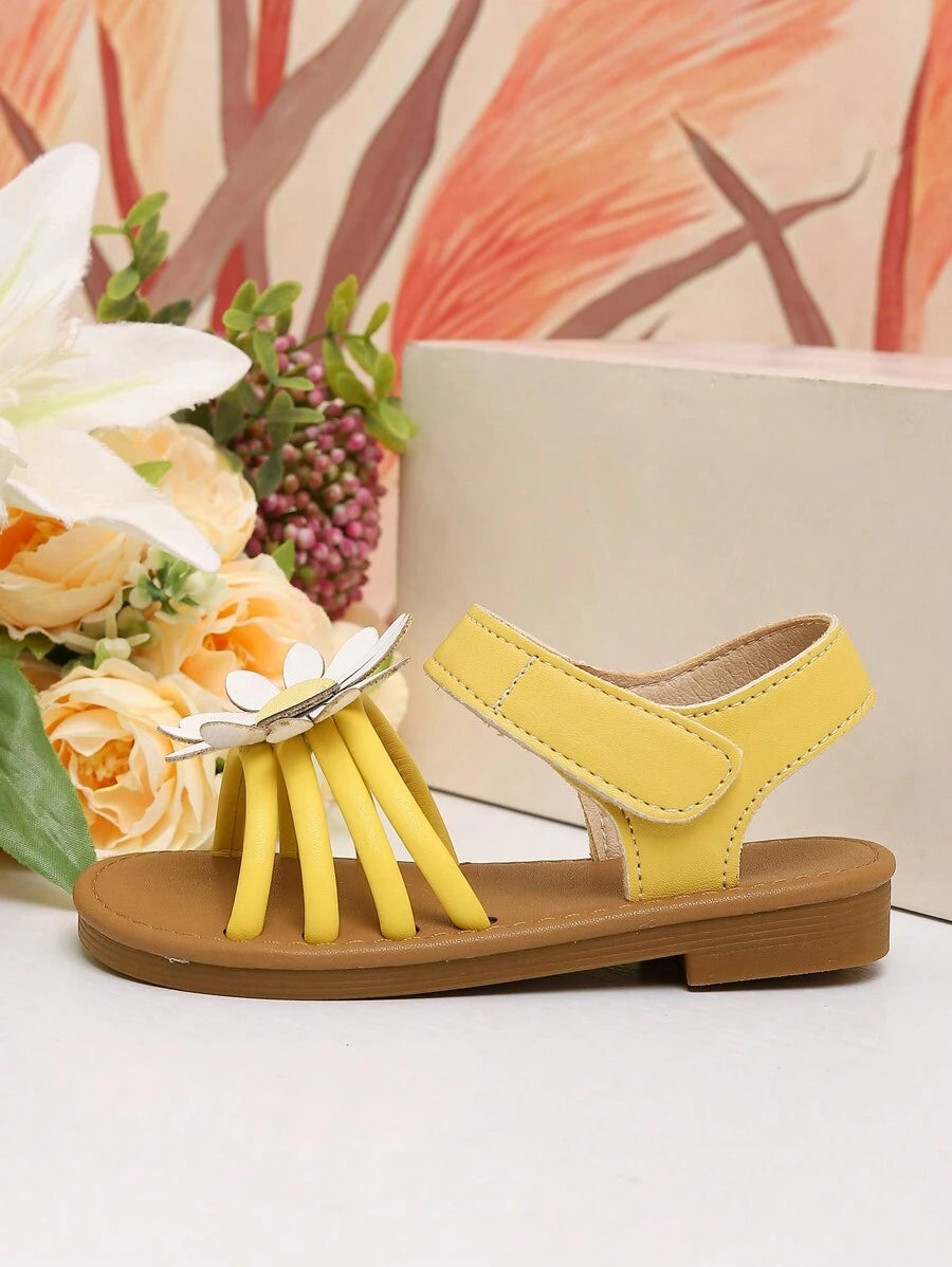 صنادل بناتي