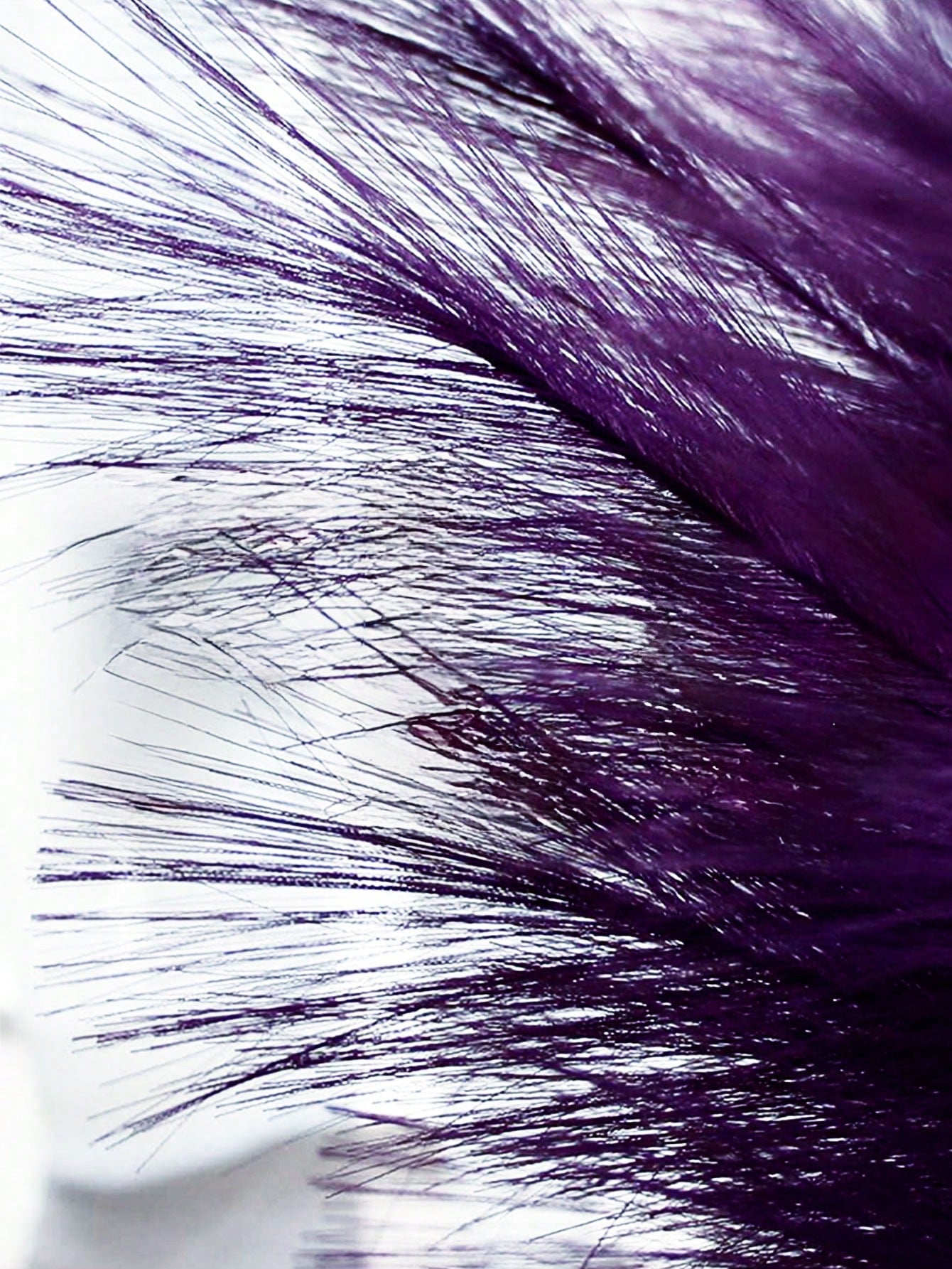 نباتات اصطناعية