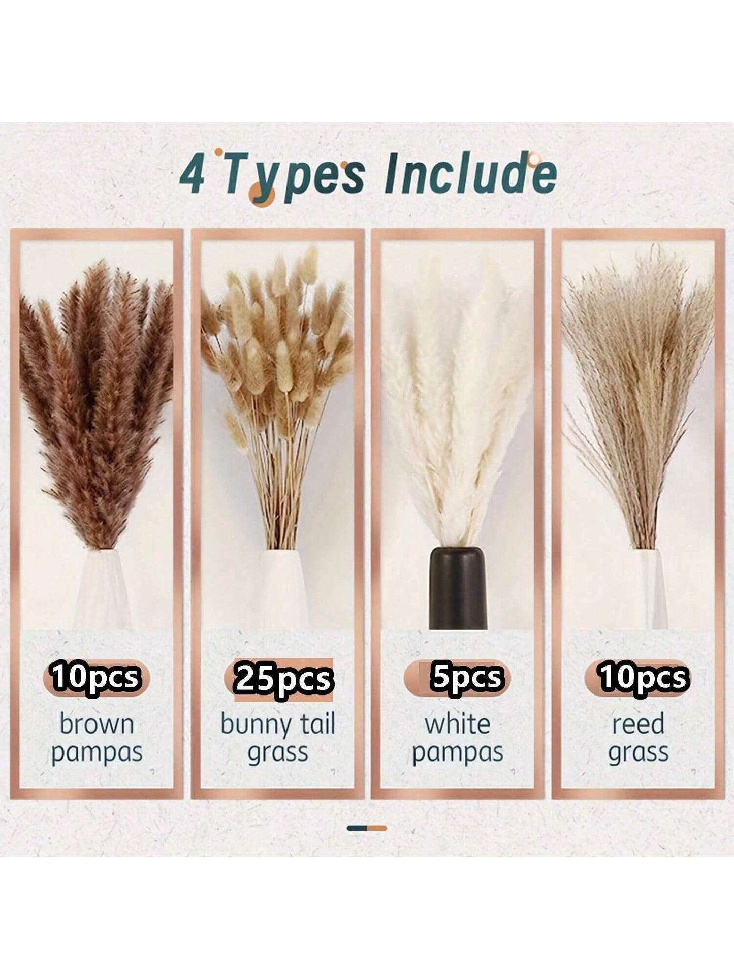 حزمة أعشاب بامباس العضوية الطبيعية المحفوظة 50 حبة - فن زهري لديكور المنزل البوهيمي والزفاف