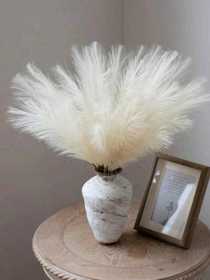 نبات لديكور المنزل