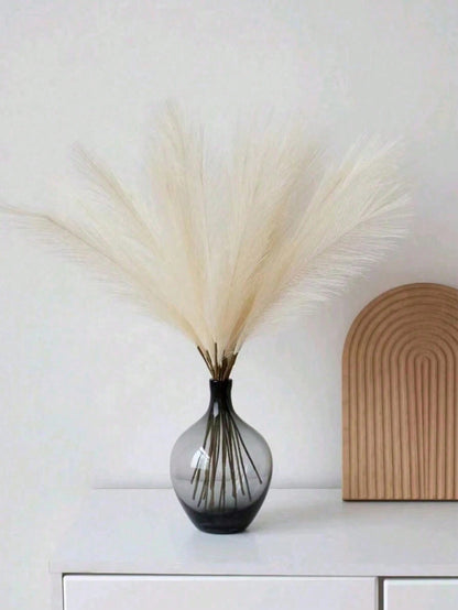 نبات لديكور المنزل