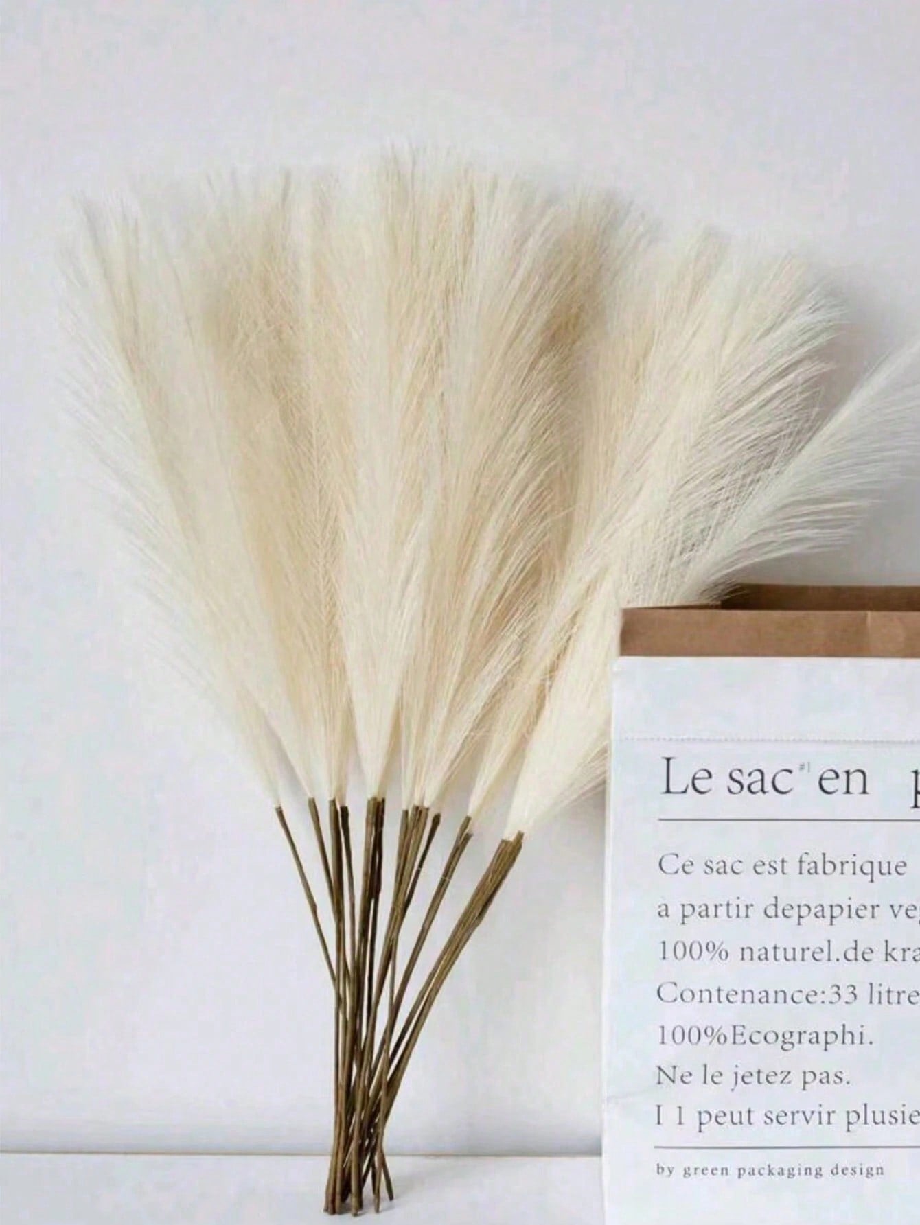 نبات لديكور المنزل