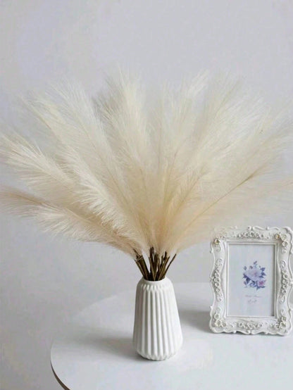 نبات لديكور المنزل