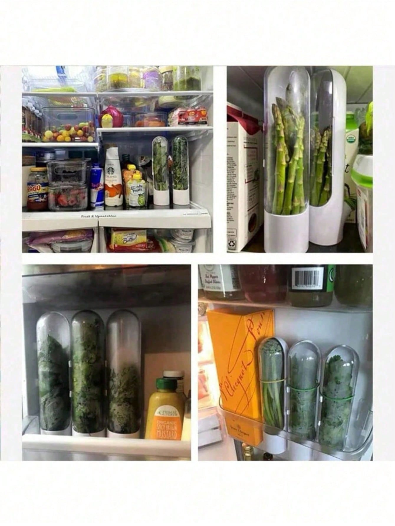 حاوية حافظة الأعشاب مع قطع لحفظ وتخزين الخضروات