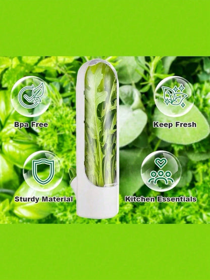 حاوية حافظة الأعشاب مع قطع لحفظ وتخزين الخضروات