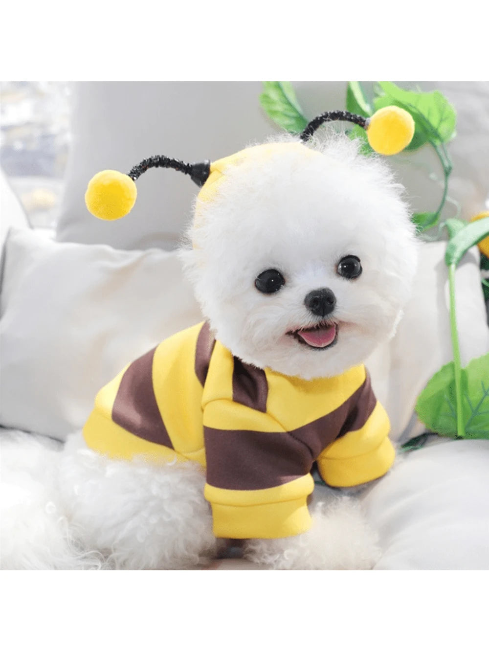https://img.ltwebstatic.com/images3_spmp/2024/08/14/f9/1723629716563bbd6b34888721610e73302f51267e_square_thumbnail_900x.webp