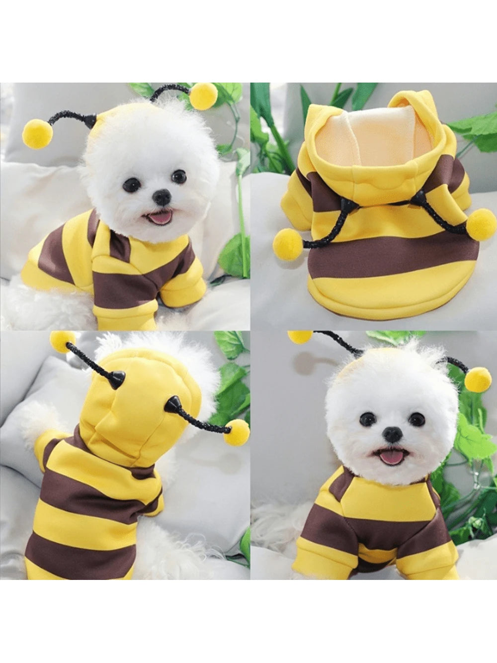 https://img.ltwebstatic.com/images3_spmp/2024/08/14/f9/17236297169cb4b061203091545f9035f60aef76fa_square_thumbnail_900x.webp