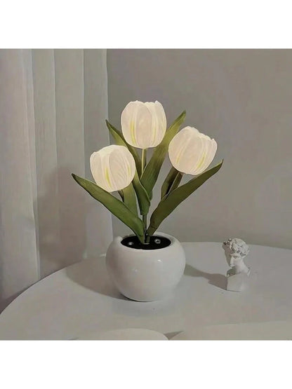 //img.ltwebstatic.com/images3_spmp/2024/12/18/dd/173450527570d12645699f05993e6caaca53bd8f87_square_thumbnail_900x.webp