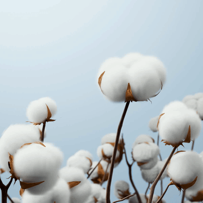 http://img.ltwebstatic.com/v4/g/pi/2025/05/23/ee/1747991066de51896c91ef20f0bc973dbf6a010961.gif