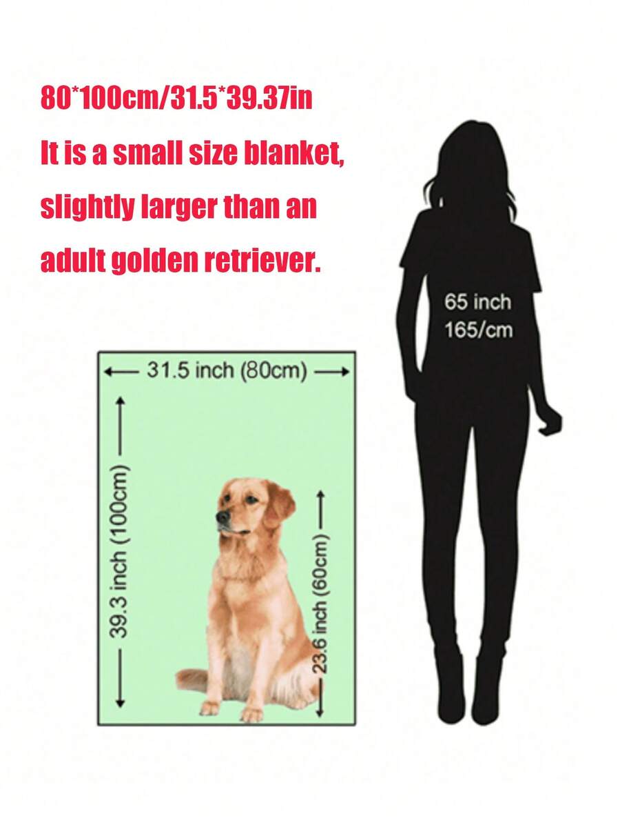 //img.ltwebstatic.com/v4/j/spmp/2025/09/09/d3/17573882527d026c9465cf90928eb33b17d120221c_thumbnail_900x.webp
