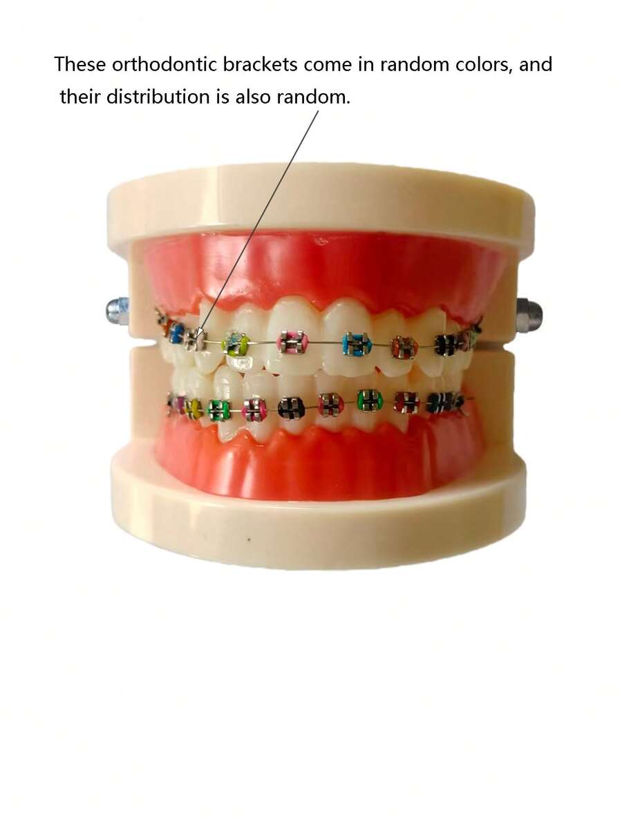 //img.ltwebstatic.com/v4/j/pi/2025/10/23/bc/176118701631c8a21fd98e3b2111f85e3a33d87f69_thumbnail_900x.webp