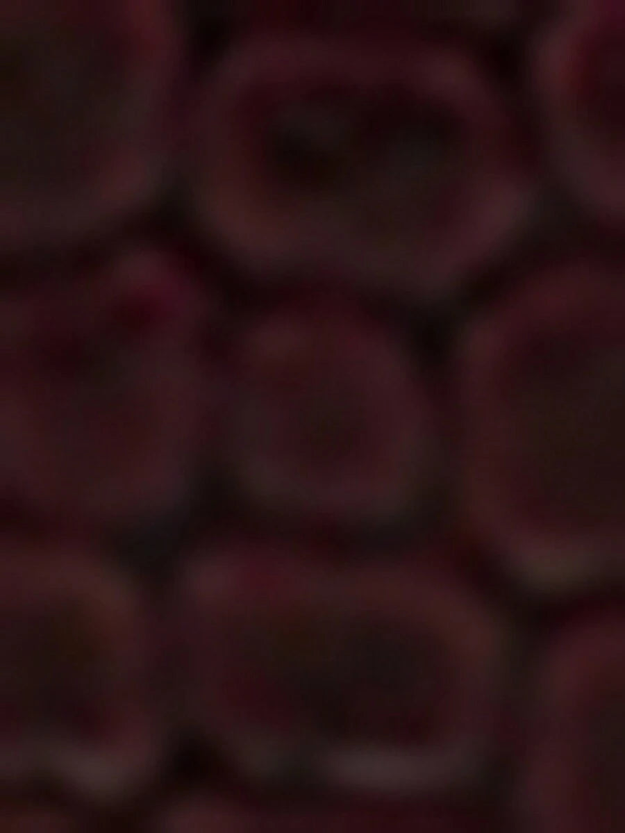 //img.ltwebstatic.com/v4/j/spmp/2025/12/31/aa/17671847129aa695a16a5c3bb4dfefbe61b71fb91b_thumbnail_900x.webp