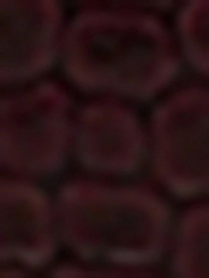 //img.ltwebstatic.com/v4/j/spmp/2025/12/31/aa/17671847129aa695a16a5c3bb4dfefbe61b71fb91b_thumbnail_900x.webp