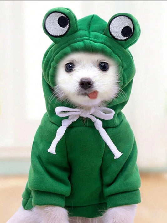 ملابس واكسسوارات حيوانات