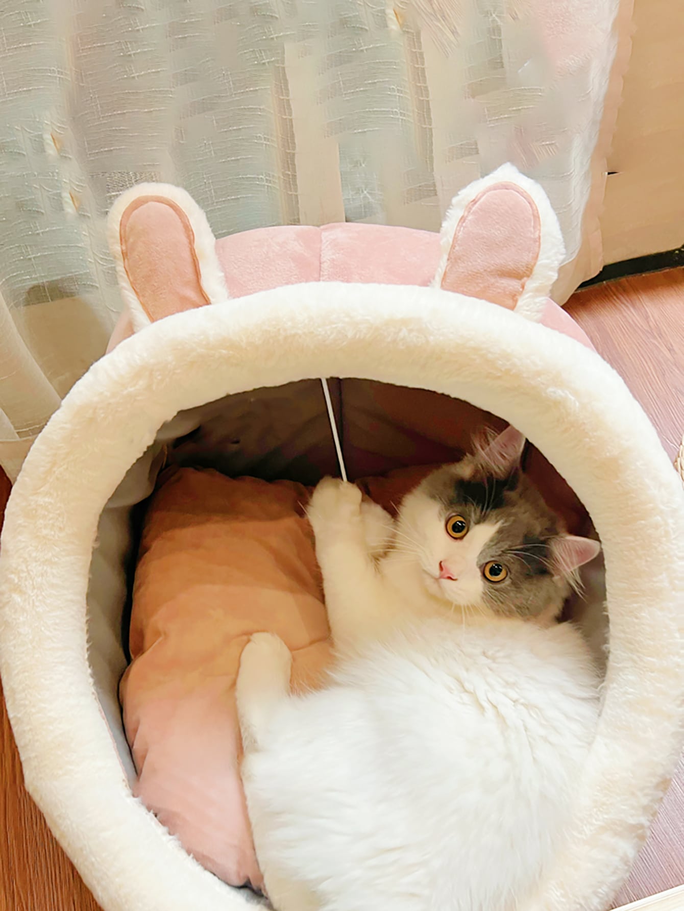 سرير الحيوانات الأليفة لتزيين الأذن وبيت الحيوانات الأليفة على شكل أرنب للكلاب والقطط وسرير قطة دافئ فتحة للقطط والكلاب الصغيرة في الأماكن المغلقة