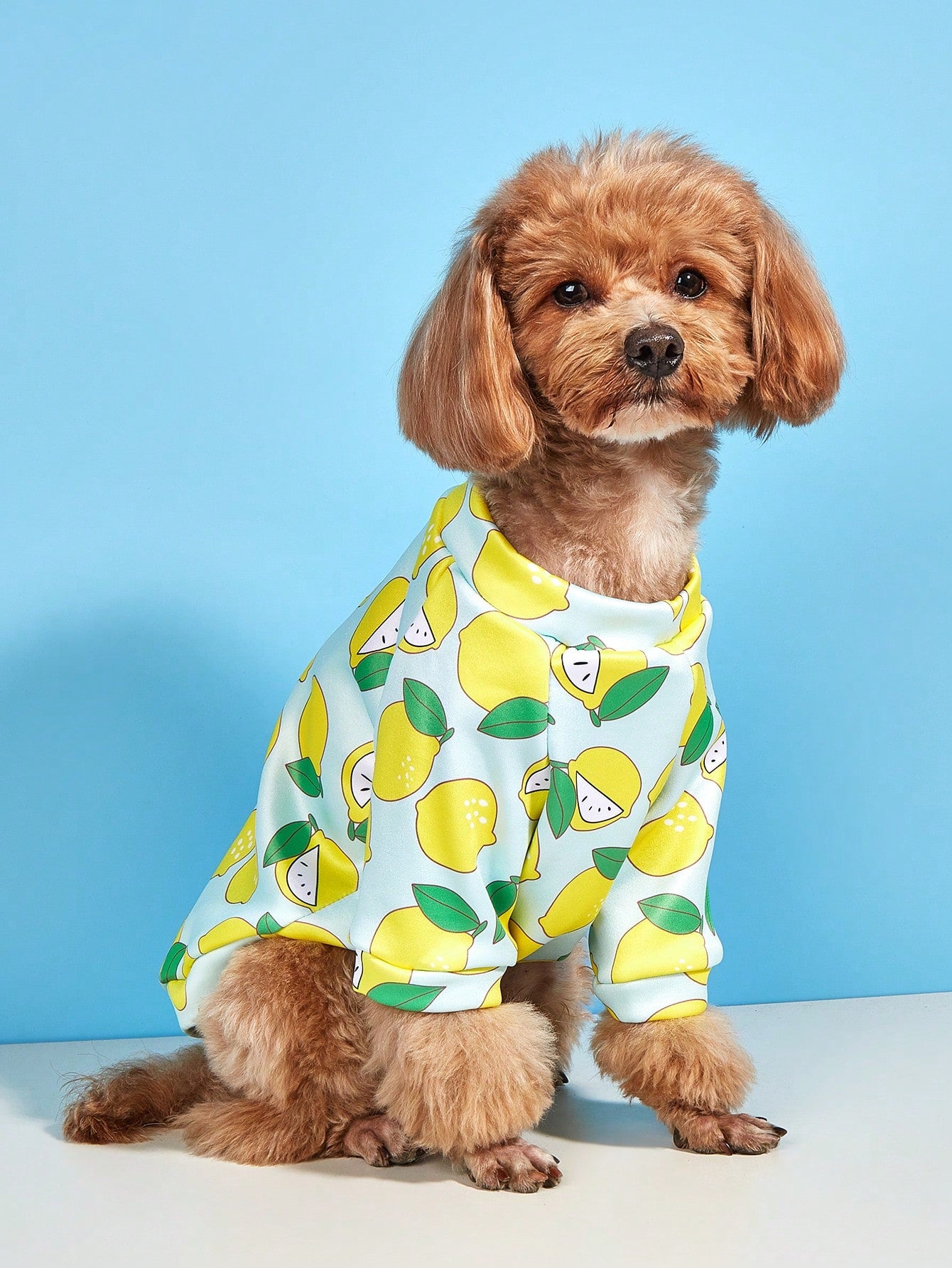 هوديي الحيوانات الأليفة الكرتونية الصوفية المطبوعة العصرية، ملابس دافئة للكلاب الصغيرة مثل تيدي وبودل