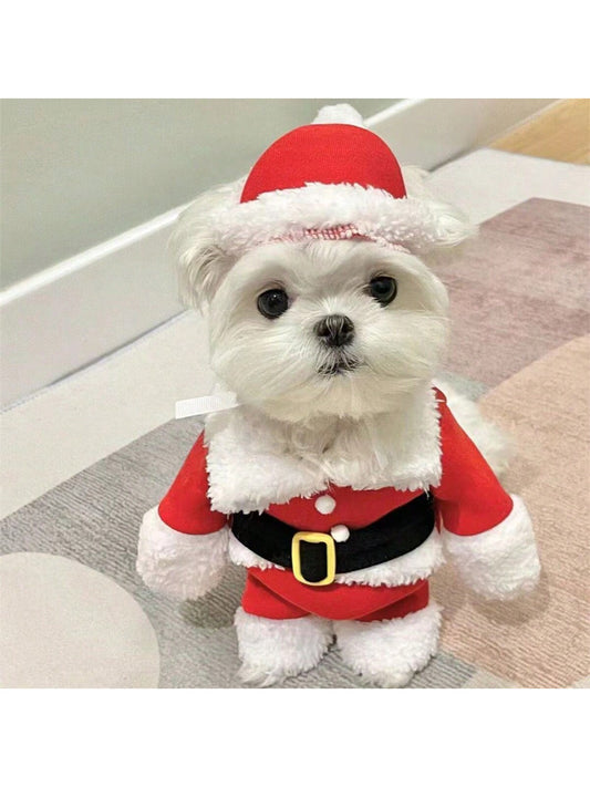 ملابس حيوانات