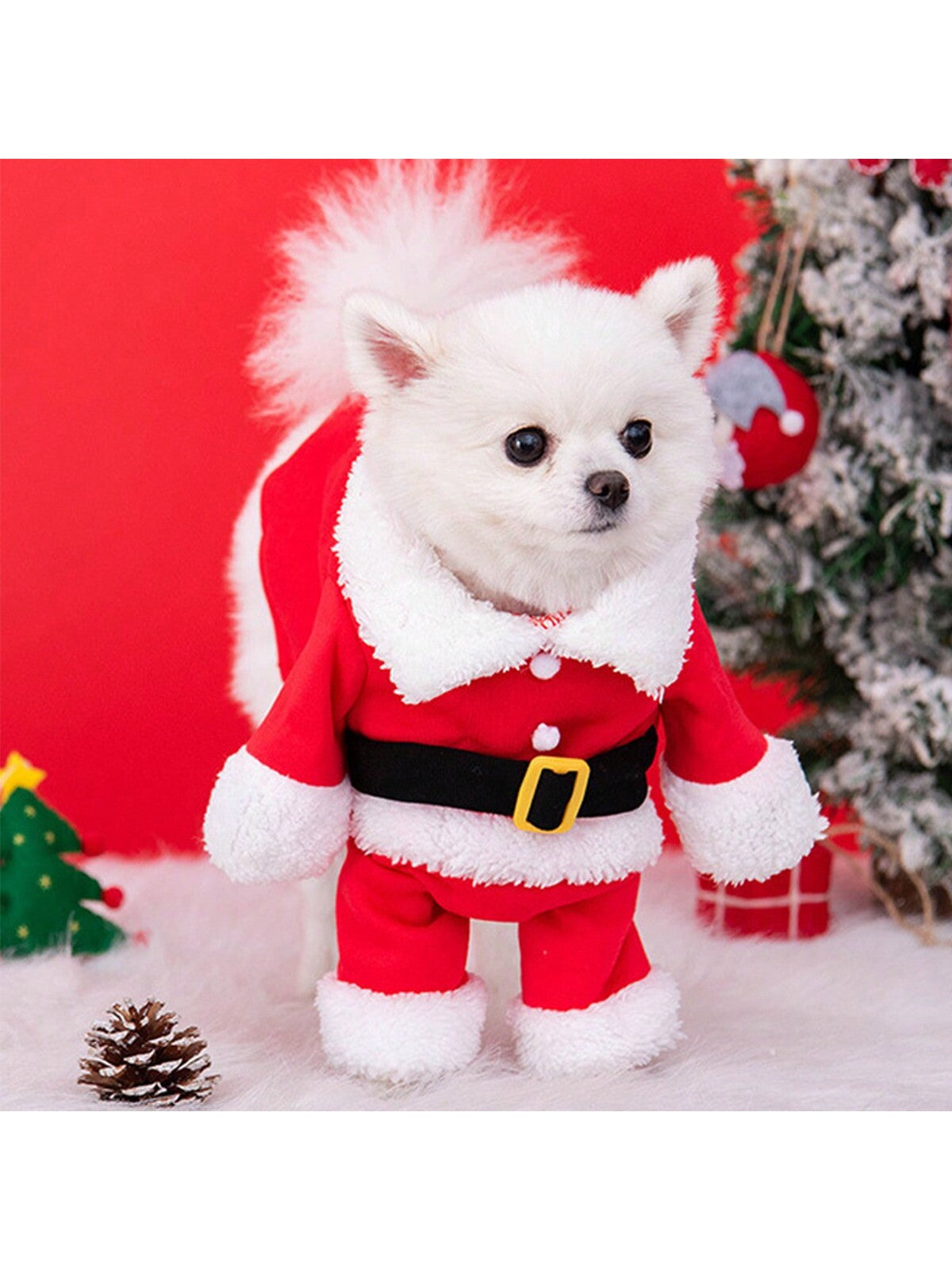 ملابس حيوانات