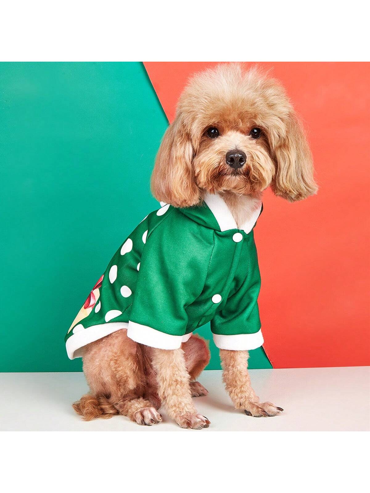 بلوزات الحيوانات الأليفة