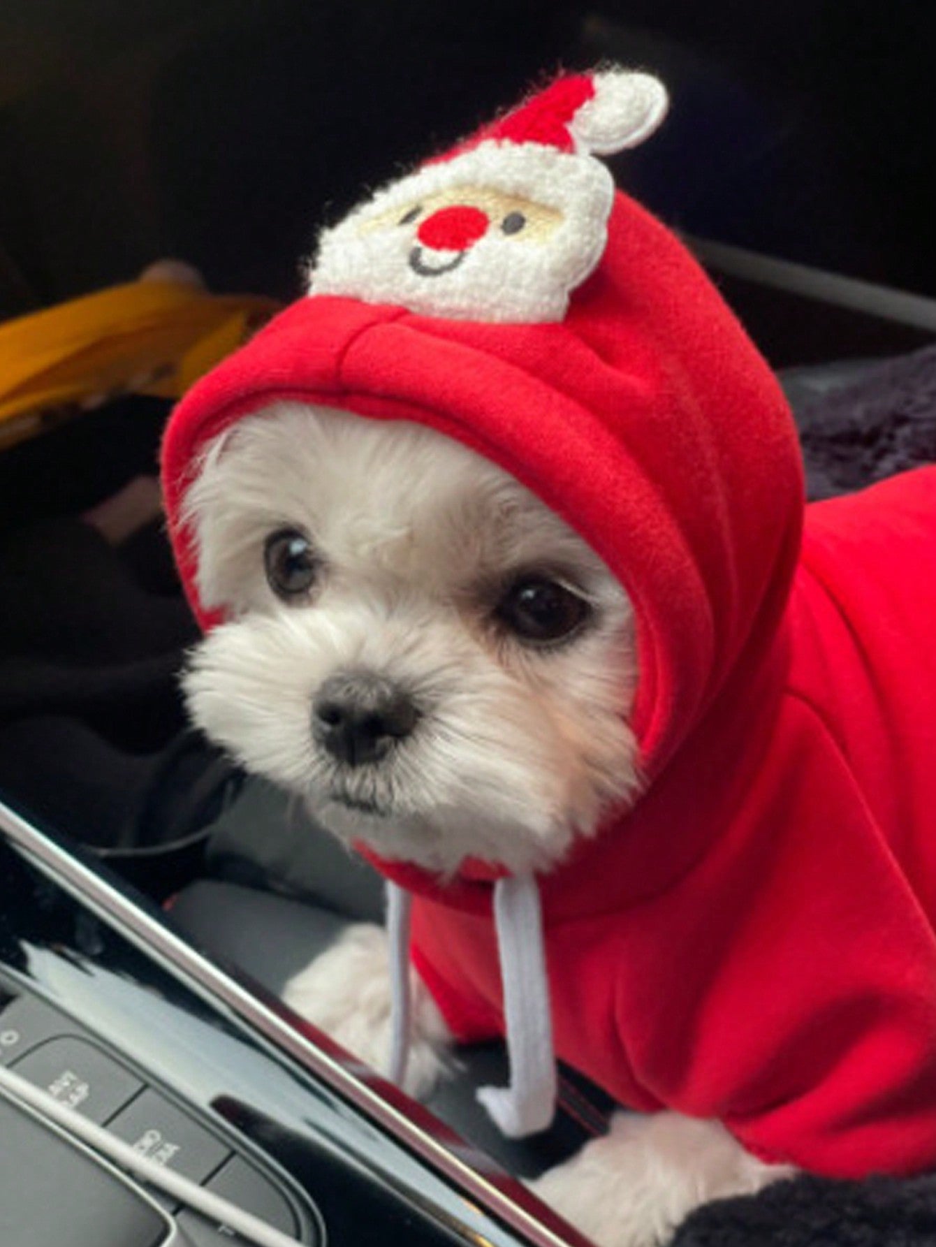 بلوزات الحيوانات الاليفة