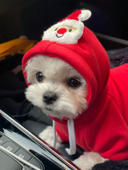 بلوزات الحيوانات الاليفة