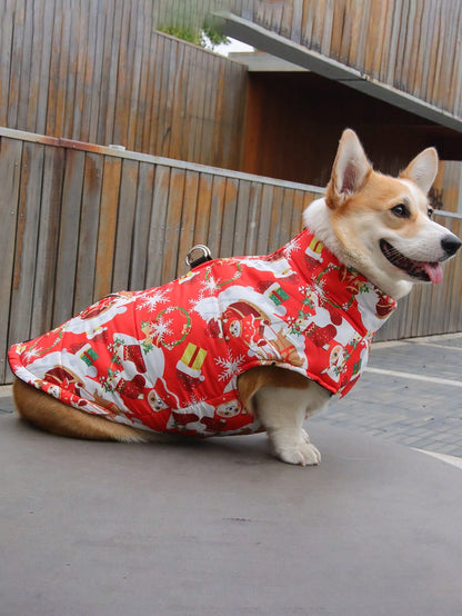 ملابس القطط والكلاب