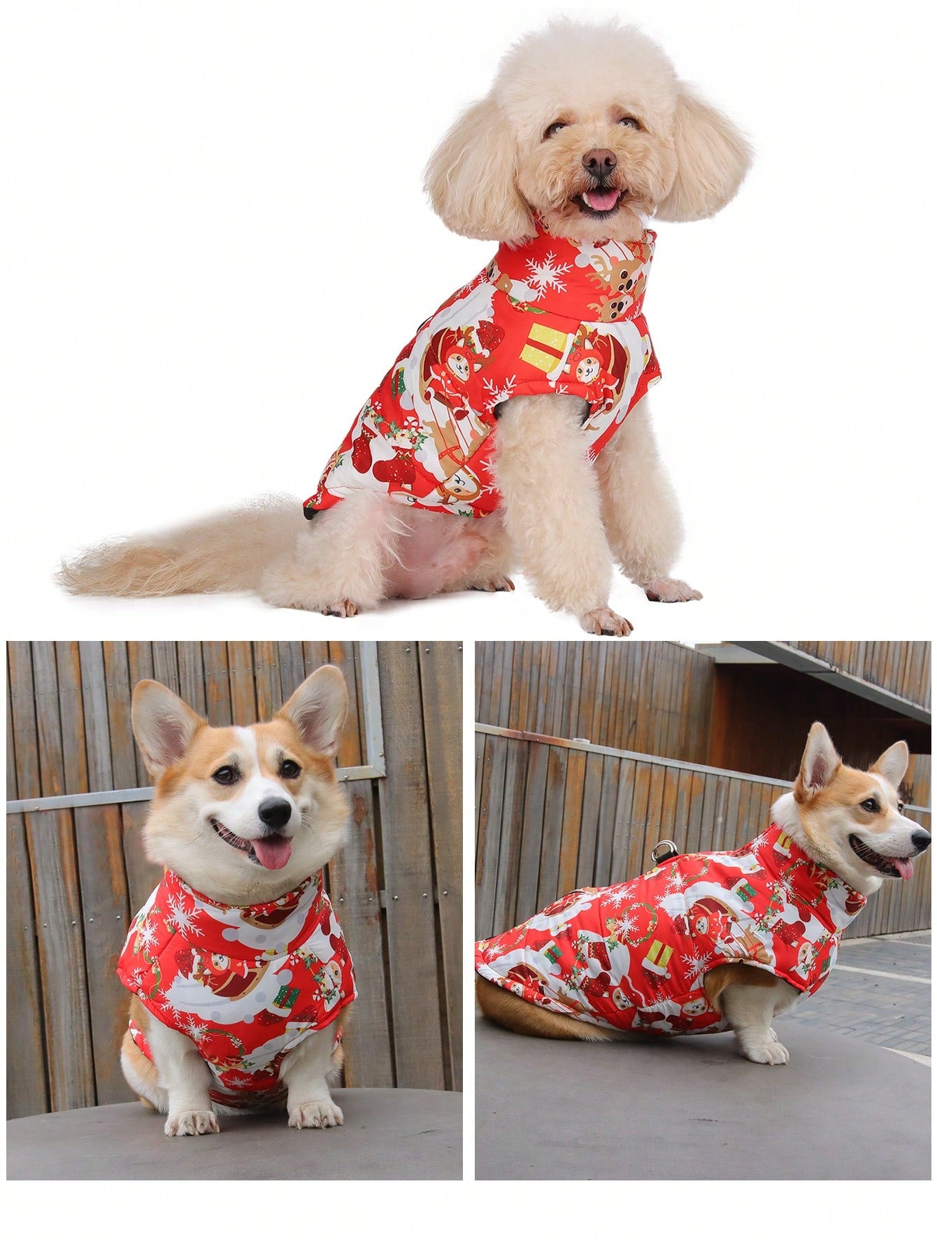 ملابس القطط والكلاب