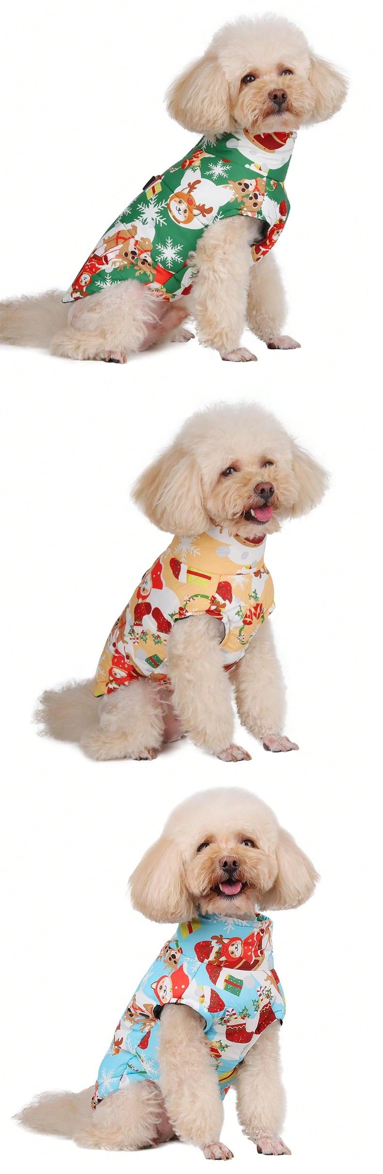 ملابس القطط والكلاب